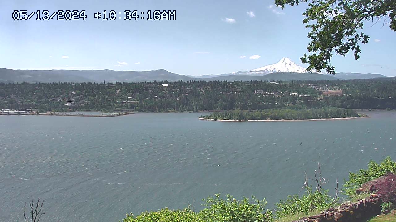 Columbia river, view of Mount Hood webcam